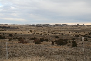 Picture of the rolling hills and cooleys